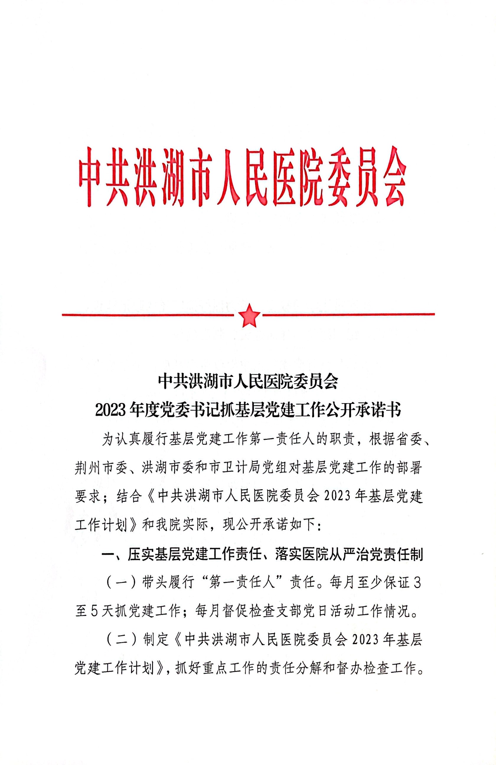 中共洪湖市人民医院委员会2023年度党委书记抓基层党建工作公开承诺书